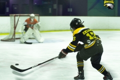 eagles17selection-364