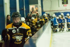 eagles17selection--4