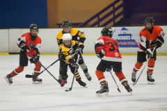 eagles17selection-4139