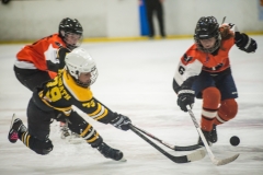 eagles17selection-4148