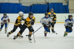 eagles17selection-4668