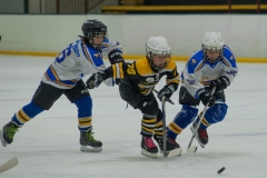 eagles17selection-4674