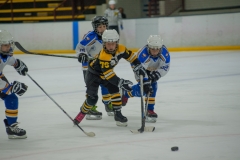 eagles17selection-4676