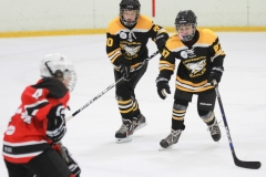 eagles17selection-5671