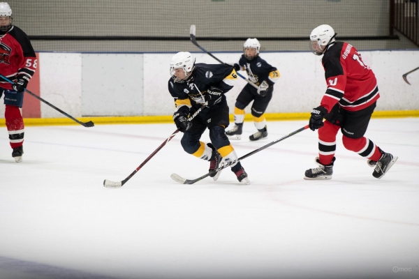 Raphael-TaibMOC_5302