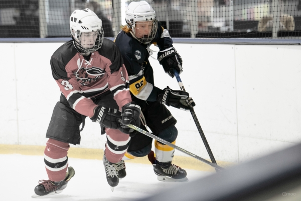 Midgets2020-Selection-MOC-24